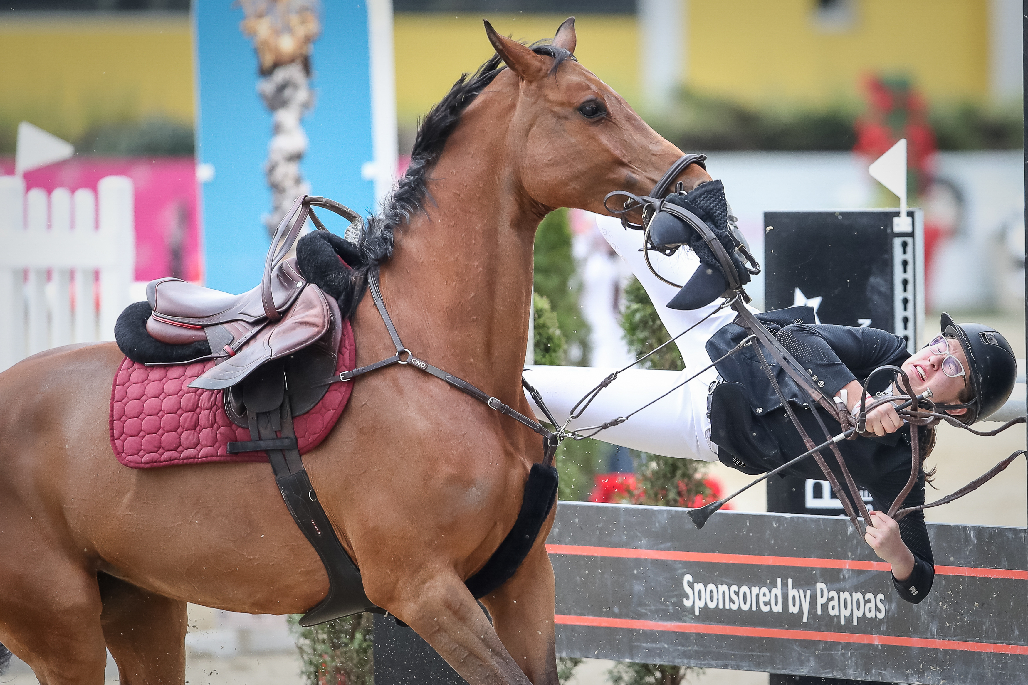 Linz,  AUSTRIA,17.April.2022 ,Pferdefestival Linz, Grand Prix der Stadt LINZ, Image shows Nicole Panaite (ROU).Keywords: crash.Photo: Sportmediapics.com/ Manfred Binder